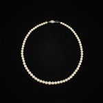 1334 2043 PEARL NECKLACE
